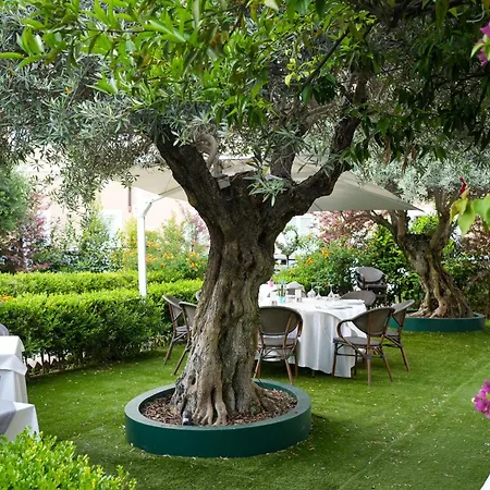 Hotel Kolbe 4*