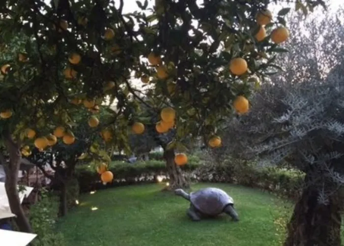 Отель Kolbe Рим